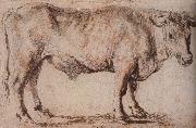 Peter Paul Rubens Bull painting